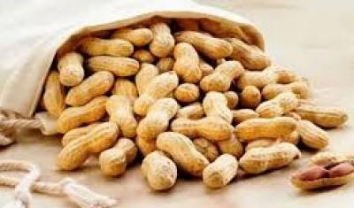 المؤتمر نت - لتعزيز ذاكرتك.. تناول هذه الوجبة