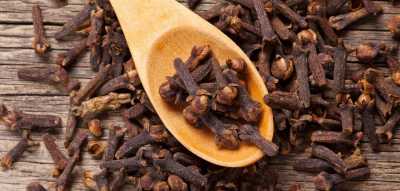 المؤتمر نت - فوائد القرنفل في تحسين صحة الكبد