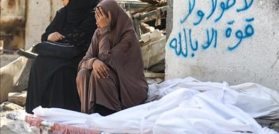 ������� �� - ����� ��� ����� ������� ���������� ��� ���� ��� ��� 7 ������ ��� 2023� ��� 71 ����� �391 ������ �171 ����� �279 ������