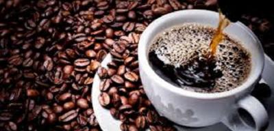 المؤتمر نت -