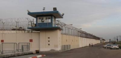 المؤتمر نت -