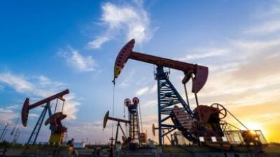 المؤتمر نت -