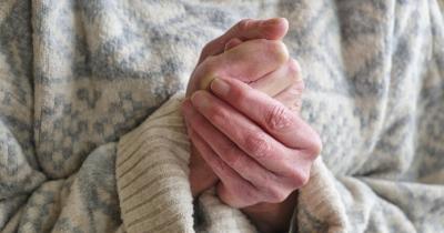 المؤتمر نت -