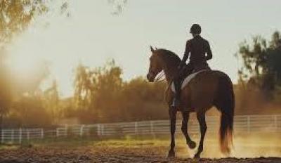 المؤتمر نت - منع أمير سابق من ركوب الخيل