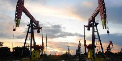 المؤتمر نت -