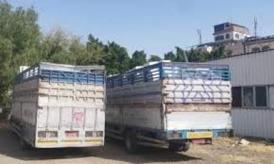 المؤتمر نت - أمانة العاصمة: ضبط مبيدات محظورة