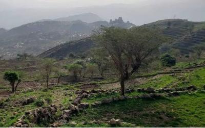المؤتمر نت - الأرصاد: تراجع الأمطار حتى نهاية سبتمبر