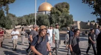 المؤتمر نت - 137 مستوطنا صهيونيا يقتحمون الأقصى